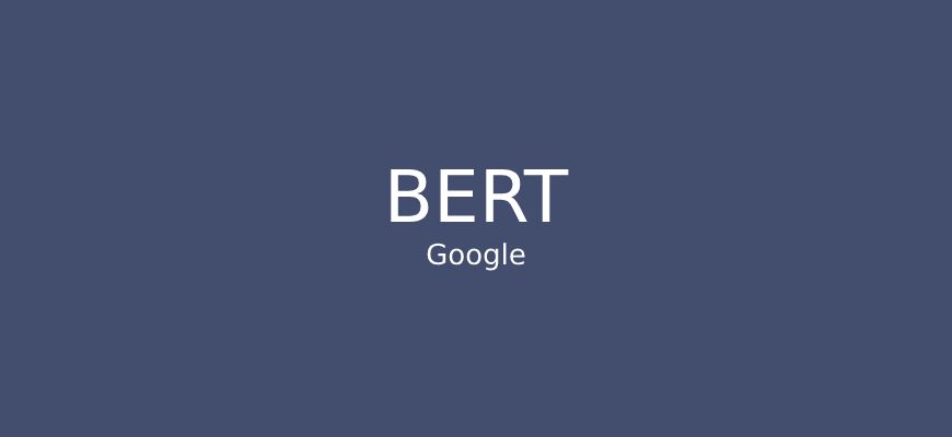 Google Bert
